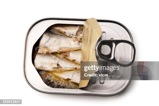 sardine